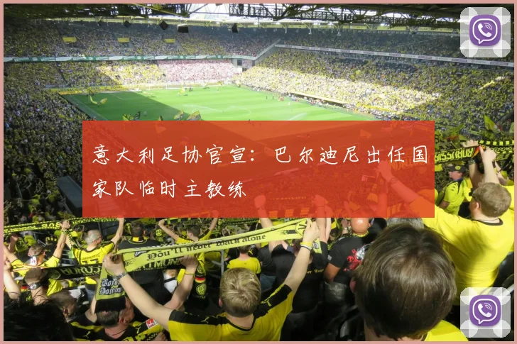 意大利足协官宣：巴尔迪尼出任国家队临时主教练