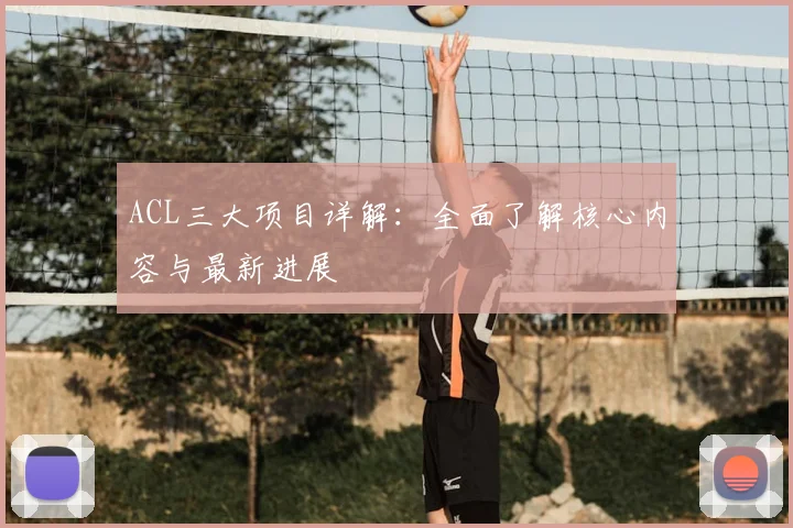 ACL三大项目详解：全面了解核心内容与最新进展