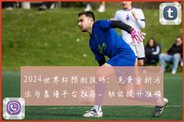 2024世界杯预测技巧：免费分析方法与靠谱平台推荐，助你提升准确率